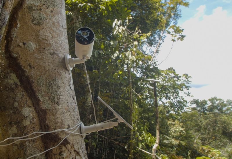 © Microsoft AI for Good Lab
